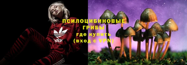 мяу мяу мука Бугульма