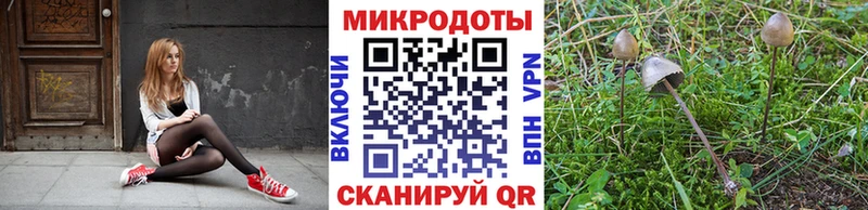 Псилоцибиновые грибы мицелий  как найти закладки  Волчанск 